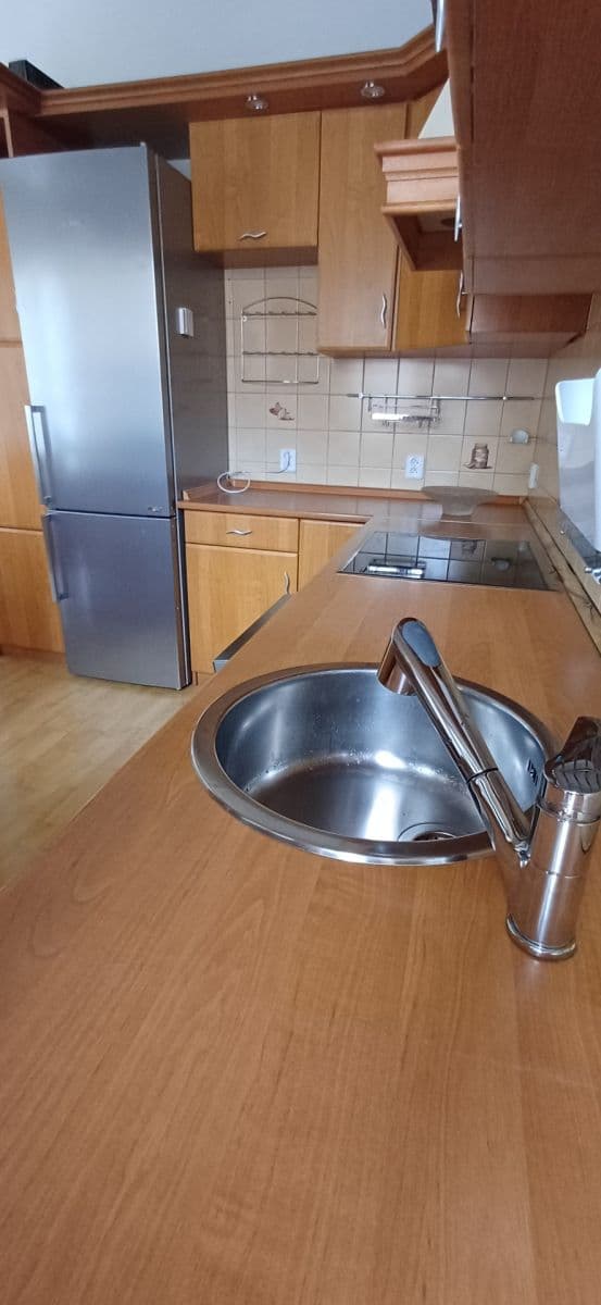 1 bedroom with open-plan kitchen flat to rent, 65 m², Jana Morávka, Jílové u Prahy, Středočeský Region 1 bedroom with open-plan kitchen flat to rent, 65 m², Jana Morávka, Jílové u Prahy, Středočeský Region