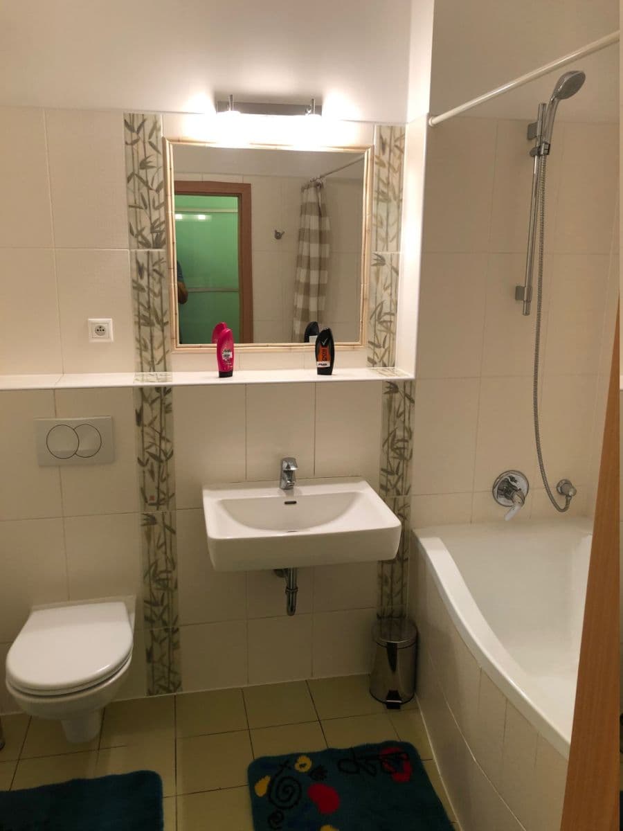1 bedroom with open-plan kitchen flat to rent, 54 m², Nepelova, Prague, Prague 1 bedroom with open-plan kitchen flat to rent, 54 m², Nepelova, Prague, Prague