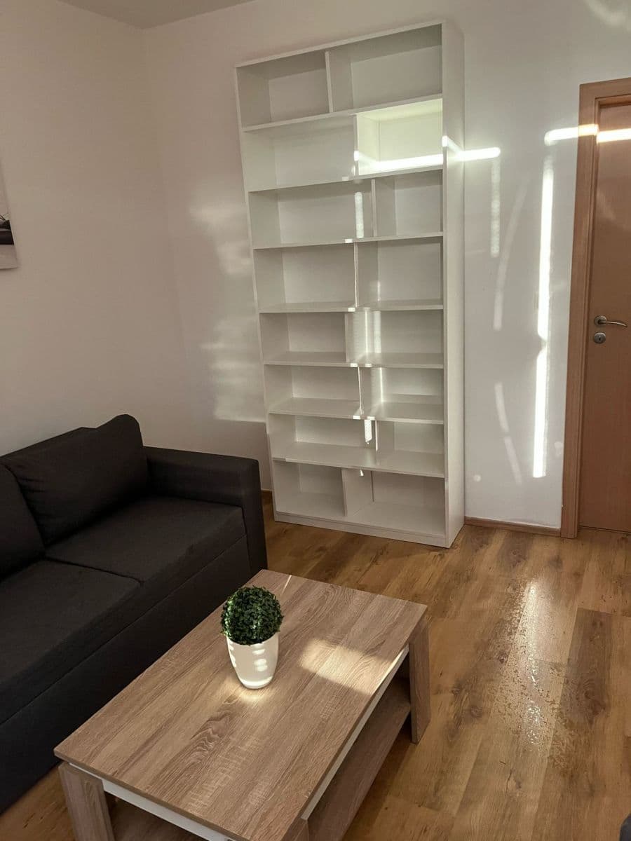 1 bedroom with open-plan kitchen flat to rent, 54 m², Nepelova, Prague, Prague 1 bedroom with open-plan kitchen flat to rent, 54 m², Nepelova, Prague, Prague