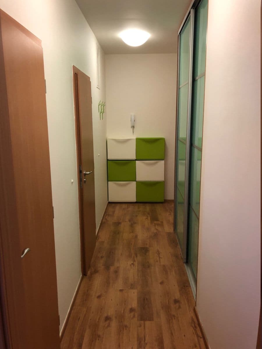 1 bedroom with open-plan kitchen flat to rent, 54 m², Nepelova, Prague, Prague 1 bedroom with open-plan kitchen flat to rent, 54 m², Nepelova, Prague, Prague