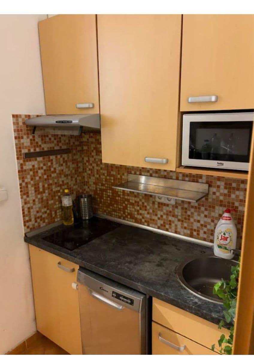 1 bedroom with open-plan kitchen flat to rent, 38 m², Sazovická, Prague, Prague 1 bedroom with open-plan kitchen flat to rent, 38 m², Sazovická, Prague, Prague