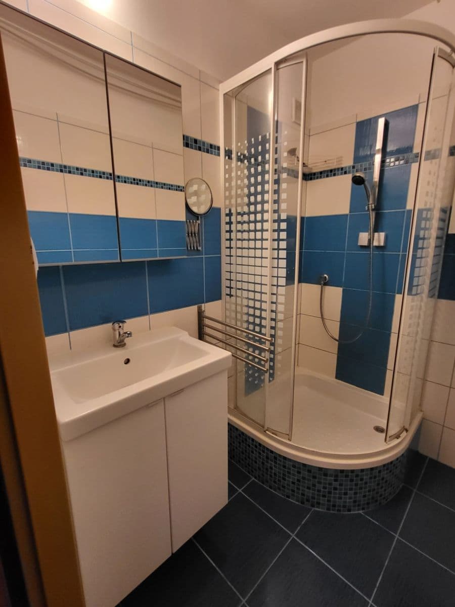 1 bedroom with open-plan kitchen flat to rent, 43 m², Hrdličkova, Prague, Prague 1 bedroom with open-plan kitchen flat to rent, 43 m², Hrdličkova, Prague, Prague
