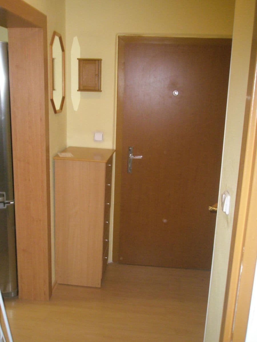 1 bedroom with open-plan kitchen flat to rent, 40 m², Štúrova, Prague, Prague 1 bedroom with open-plan kitchen flat to rent, 40 m², Štúrova, Prague, Prague
