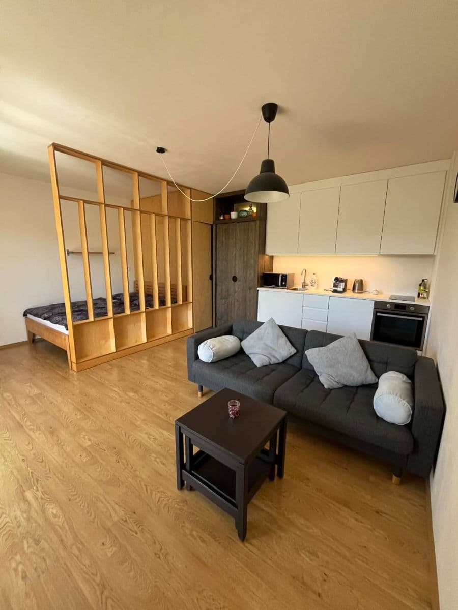 Studio flat to rent, 39 m², U Jízdárny, Prague, Prague Studio flat to rent, 39 m², U Jízdárny, Prague, Prague