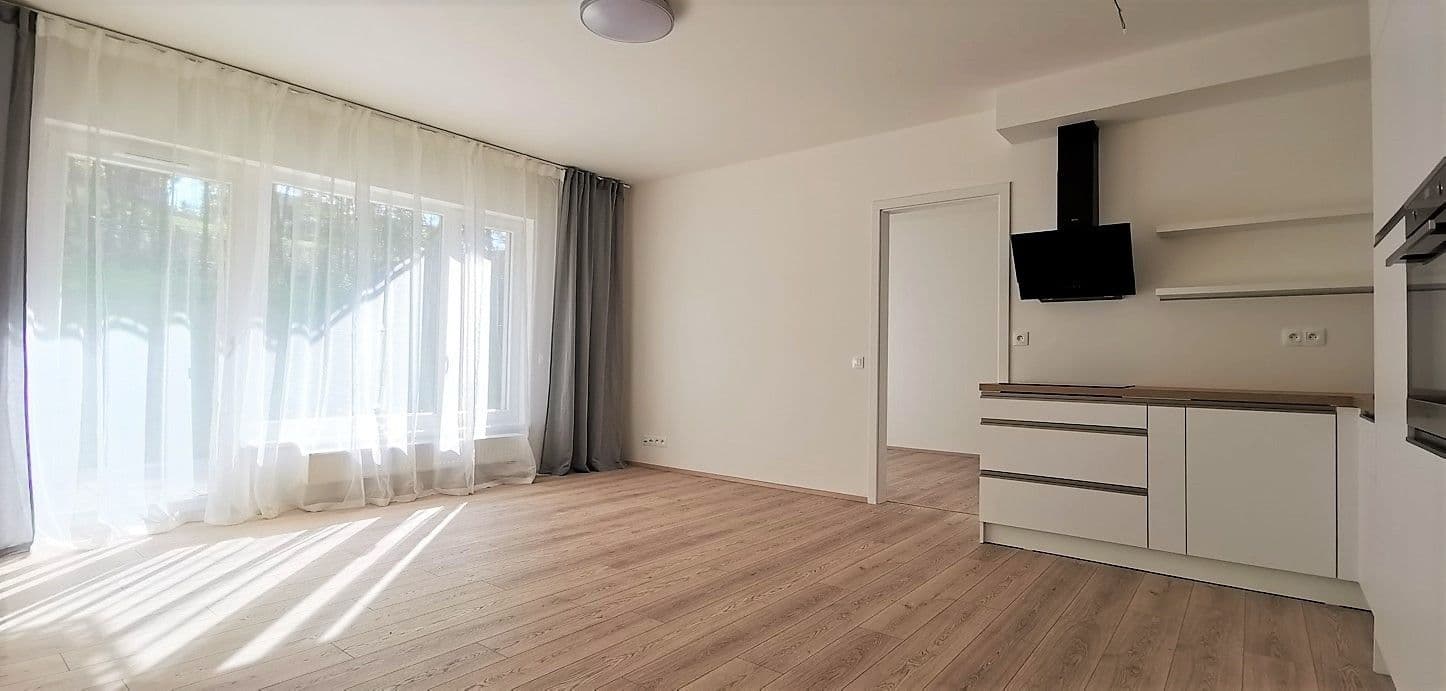 1 bedroom with open-plan kitchen flat to rent, 51 m², Pod Areálem, Prague, Prague 1 bedroom with open-plan kitchen flat to rent, 51 m², Pod Areálem, Prague, Prague