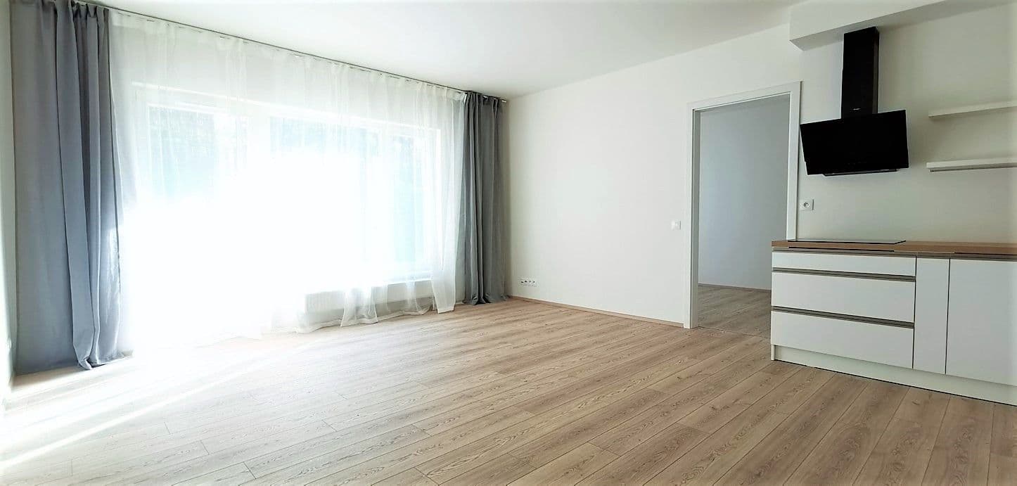 1 bedroom with open-plan kitchen flat to rent, 51 m², Pod Areálem, Prague, Prague 1 bedroom with open-plan kitchen flat to rent, 51 m², Pod Areálem, Prague, Prague