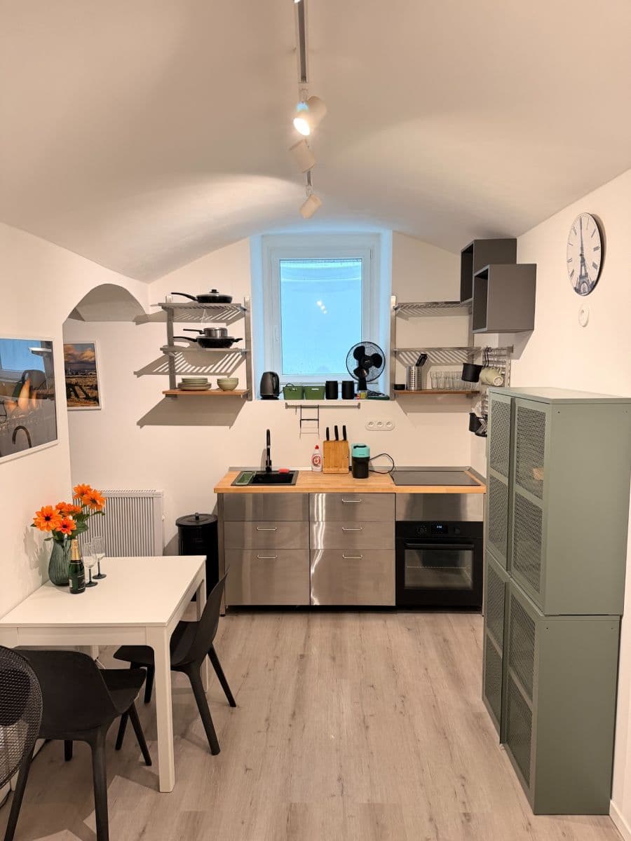 1 bedroom with open-plan kitchen flat to rent, 39 m², Bořivojova, Prague, Prague 1 bedroom with open-plan kitchen flat to rent, 39 m², Bořivojova, Prague, Prague