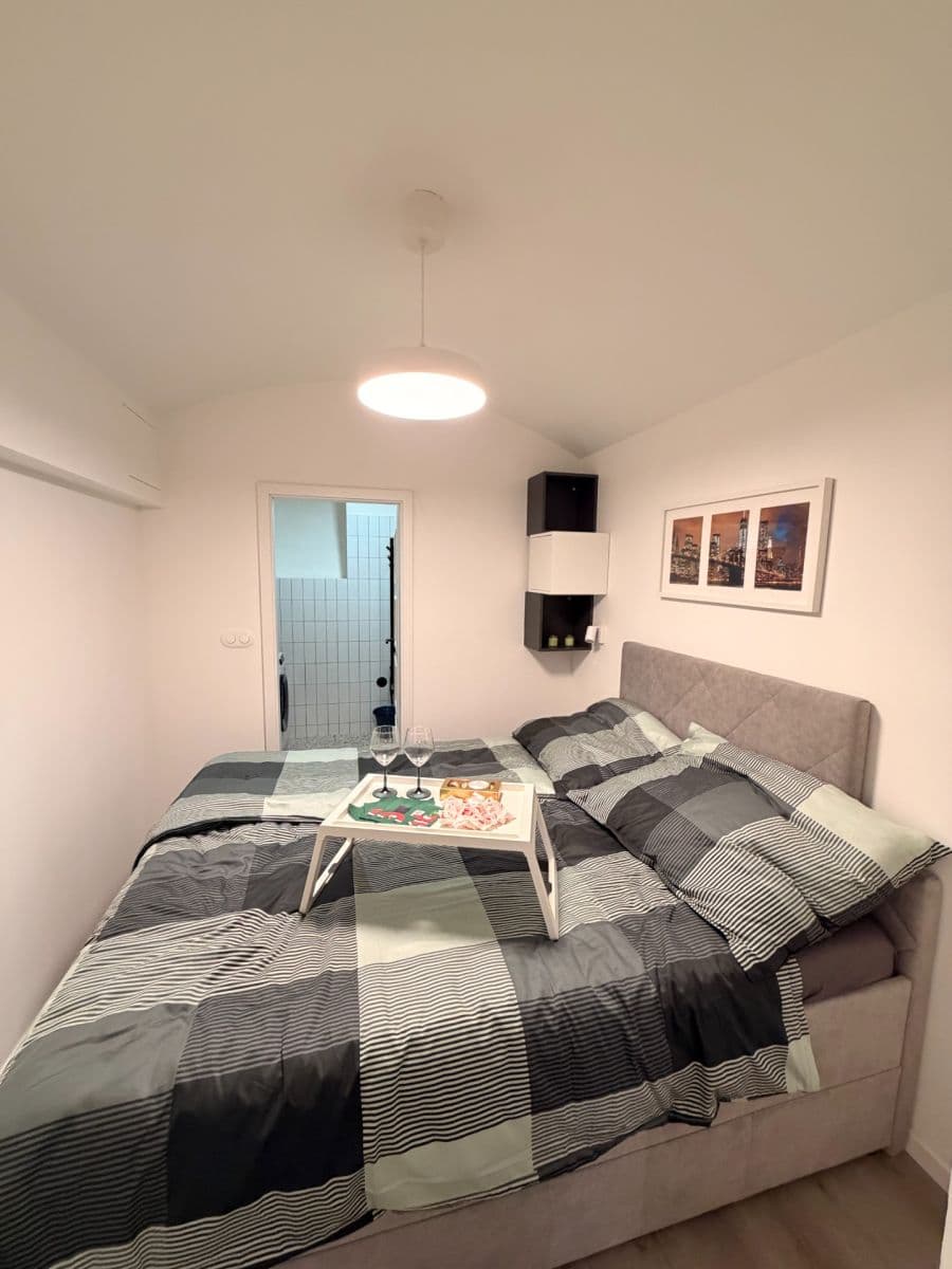 1 bedroom with open-plan kitchen flat to rent, 39 m², Bořivojova, Prague, Prague 1 bedroom with open-plan kitchen flat to rent, 39 m², Bořivojova, Prague, Prague