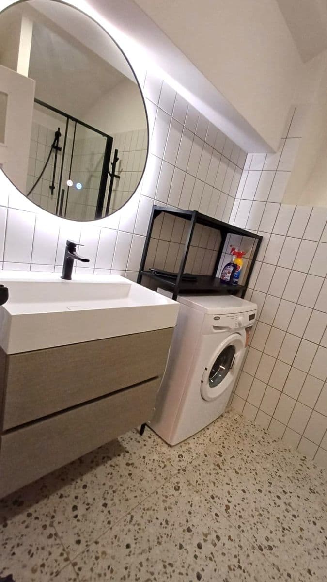 1 bedroom with open-plan kitchen flat to rent, 39 m², Bořivojova, Prague, Prague 1 bedroom with open-plan kitchen flat to rent, 39 m², Bořivojova, Prague, Prague