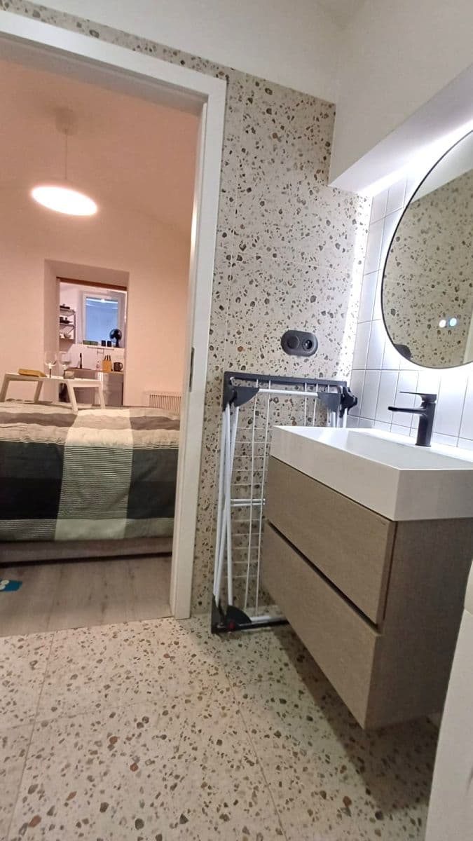 1 bedroom with open-plan kitchen flat to rent, 39 m², Bořivojova, Prague, Prague 1 bedroom with open-plan kitchen flat to rent, 39 m², Bořivojova, Prague, Prague
