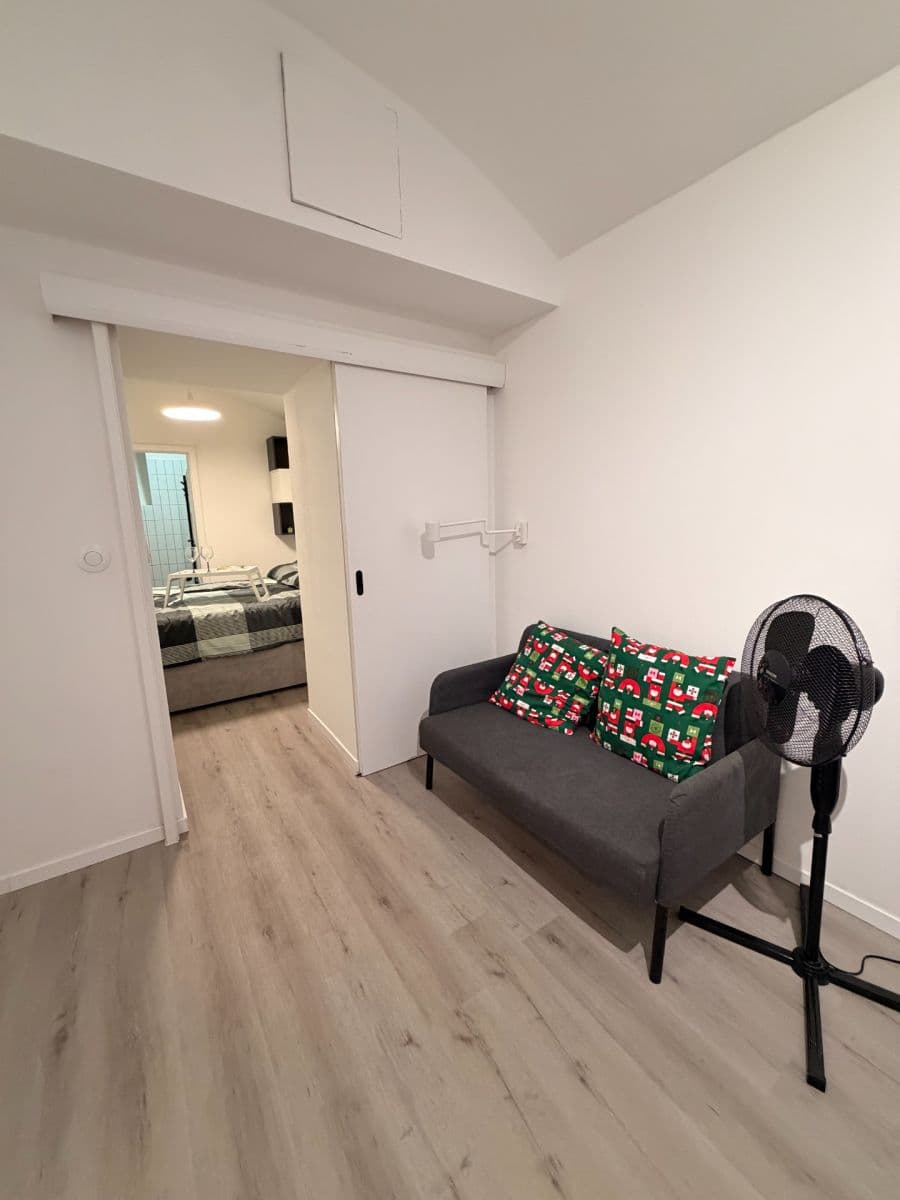 1 bedroom with open-plan kitchen flat to rent, 39 m², Bořivojova, Prague, Prague 1 bedroom with open-plan kitchen flat to rent, 39 m², Bořivojova, Prague, Prague