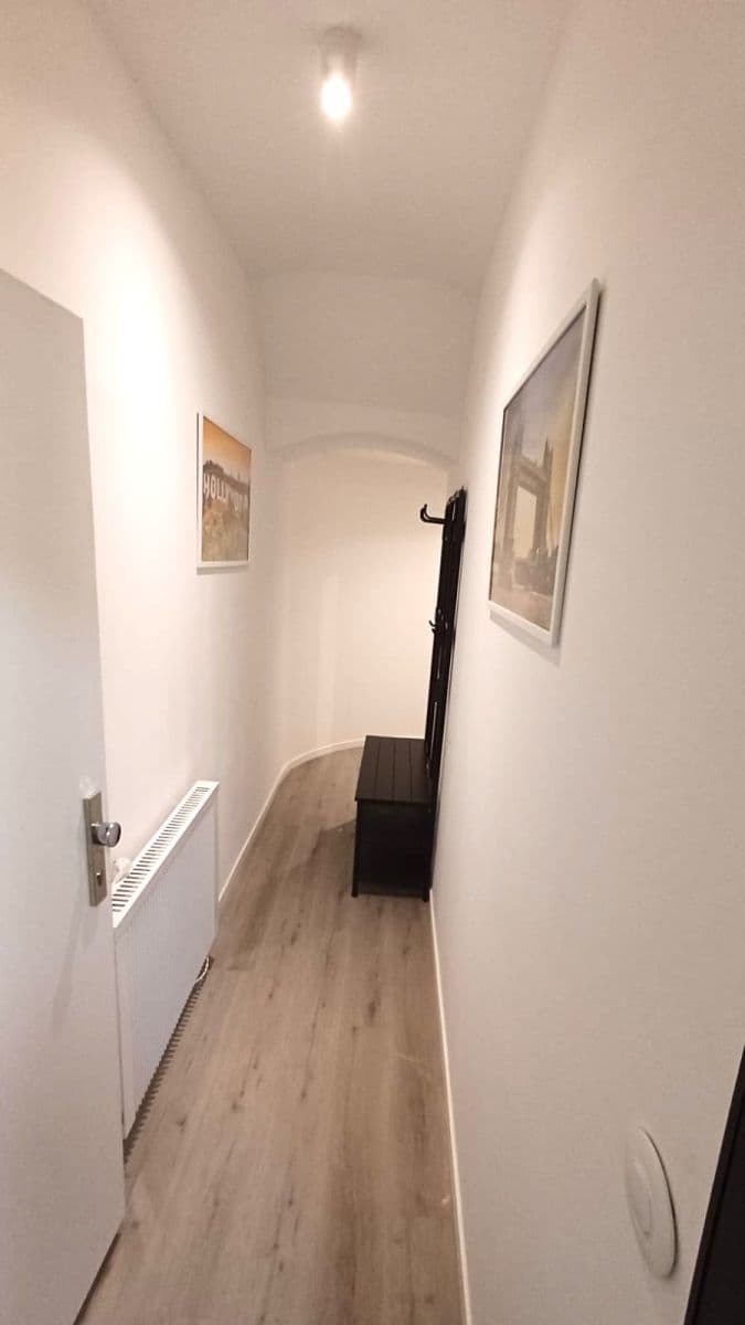 1 bedroom with open-plan kitchen flat to rent, 39 m², Bořivojova, Prague, Prague 1 bedroom with open-plan kitchen flat to rent, 39 m², Bořivojova, Prague, Prague