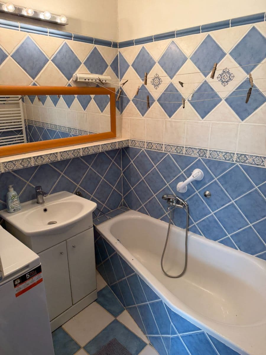 1 bedroom with open-plan kitchen flat to rent, 41 m², Ohnivcova, Prague, Prague 1 bedroom with open-plan kitchen flat to rent, 41 m², Ohnivcova, Prague, Prague