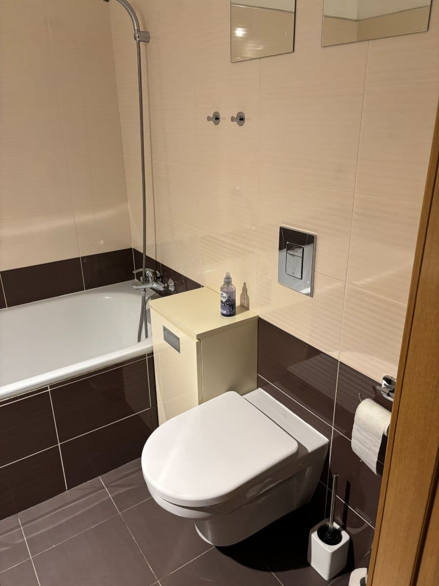 1 bedroom with open-plan kitchen flat to rent, 44 m², U Sladovny, Prague, Prague 1 bedroom with open-plan kitchen flat to rent, 44 m², U Sladovny, Prague, Prague