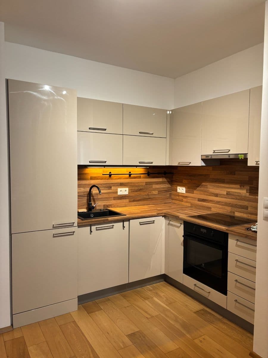 1 bedroom with open-plan kitchen flat to rent, 44 m², U Sladovny, Prague, Prague 1 bedroom with open-plan kitchen flat to rent, 44 m², U Sladovny, Prague, Prague