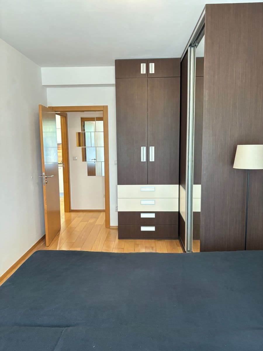 1 bedroom with open-plan kitchen flat to rent, 44 m², U Sladovny, Prague, Prague 1 bedroom with open-plan kitchen flat to rent, 44 m², U Sladovny, Prague, Prague