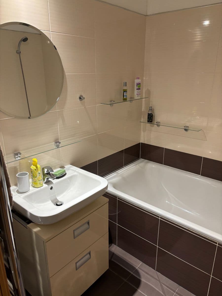 1 bedroom with open-plan kitchen flat to rent, 44 m², U Sladovny, Prague, Prague 1 bedroom with open-plan kitchen flat to rent, 44 m², U Sladovny, Prague, Prague