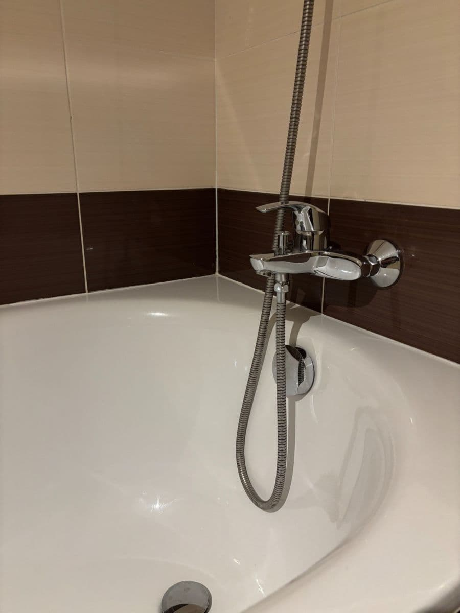 1 bedroom with open-plan kitchen flat to rent, 44 m², U Sladovny, Prague, Prague 1 bedroom with open-plan kitchen flat to rent, 44 m², U Sladovny, Prague, Prague
