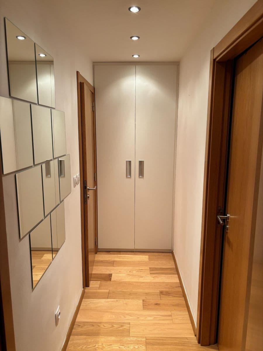 1 bedroom with open-plan kitchen flat to rent, 44 m², U Sladovny, Prague, Prague 1 bedroom with open-plan kitchen flat to rent, 44 m², U Sladovny, Prague, Prague