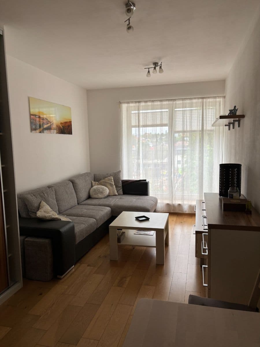 1 bedroom with open-plan kitchen flat to rent, 44 m², U Sladovny, Prague, Prague 1 bedroom with open-plan kitchen flat to rent, 44 m², U Sladovny, Prague, Prague