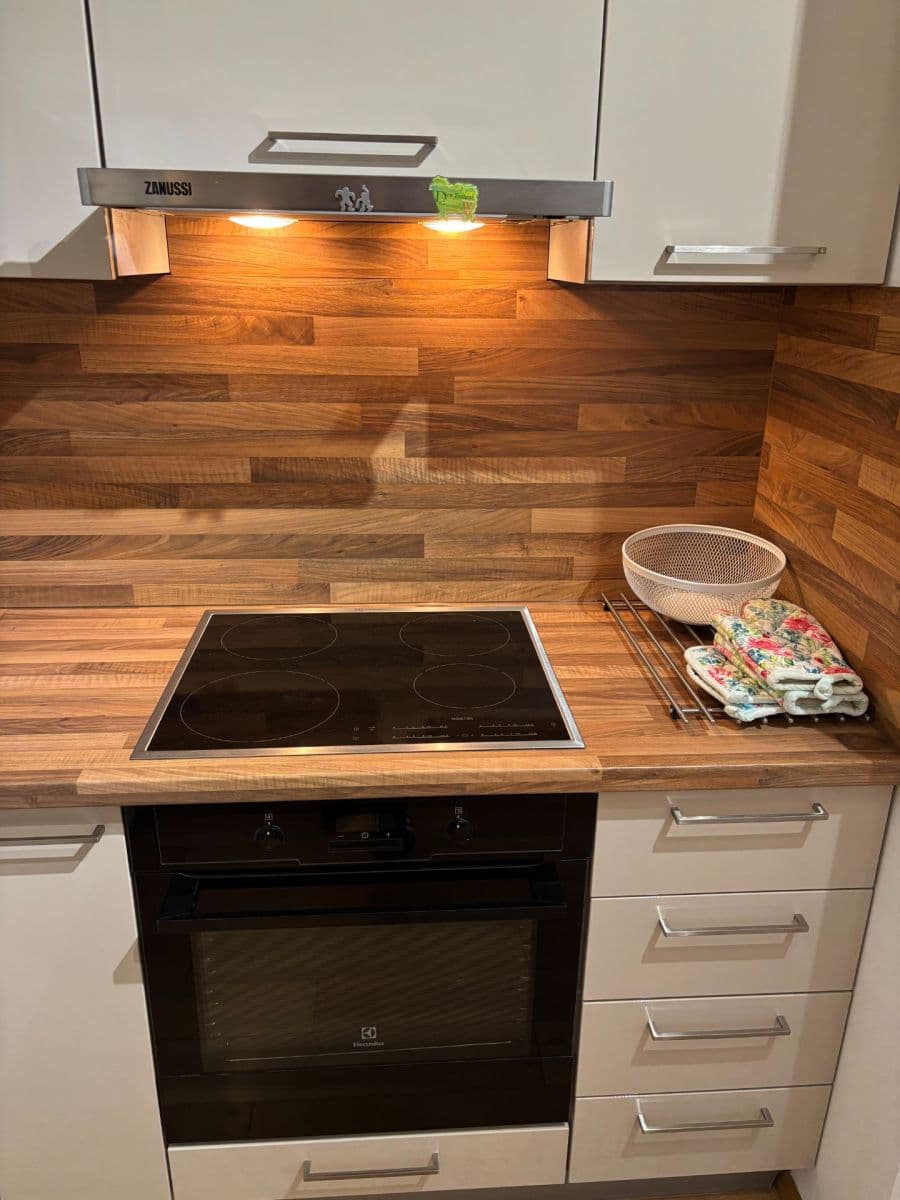 1 bedroom with open-plan kitchen flat to rent, 44 m², U Sladovny, Prague, Prague 1 bedroom with open-plan kitchen flat to rent, 44 m², U Sladovny, Prague, Prague
