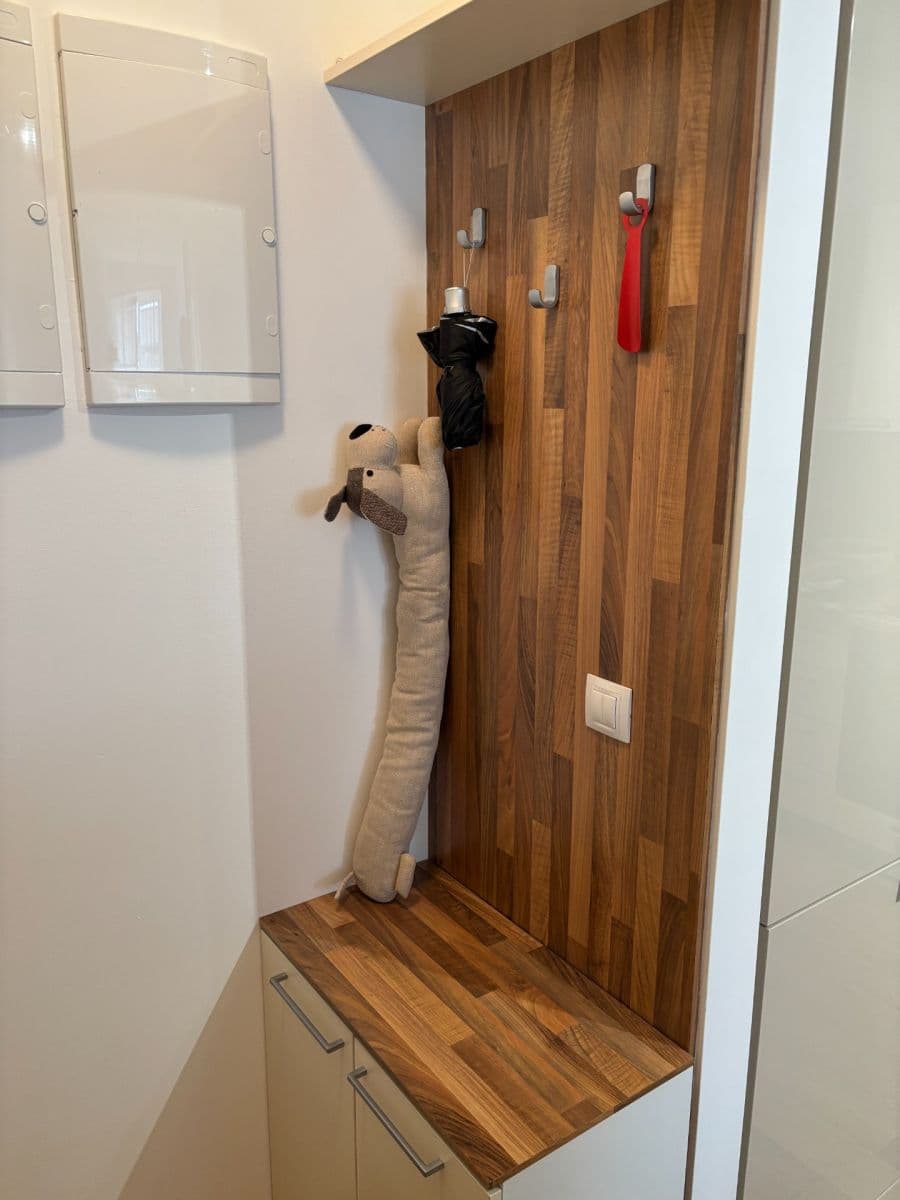 1 bedroom with open-plan kitchen flat to rent, 44 m², U Sladovny, Prague, Prague 1 bedroom with open-plan kitchen flat to rent, 44 m², U Sladovny, Prague, Prague