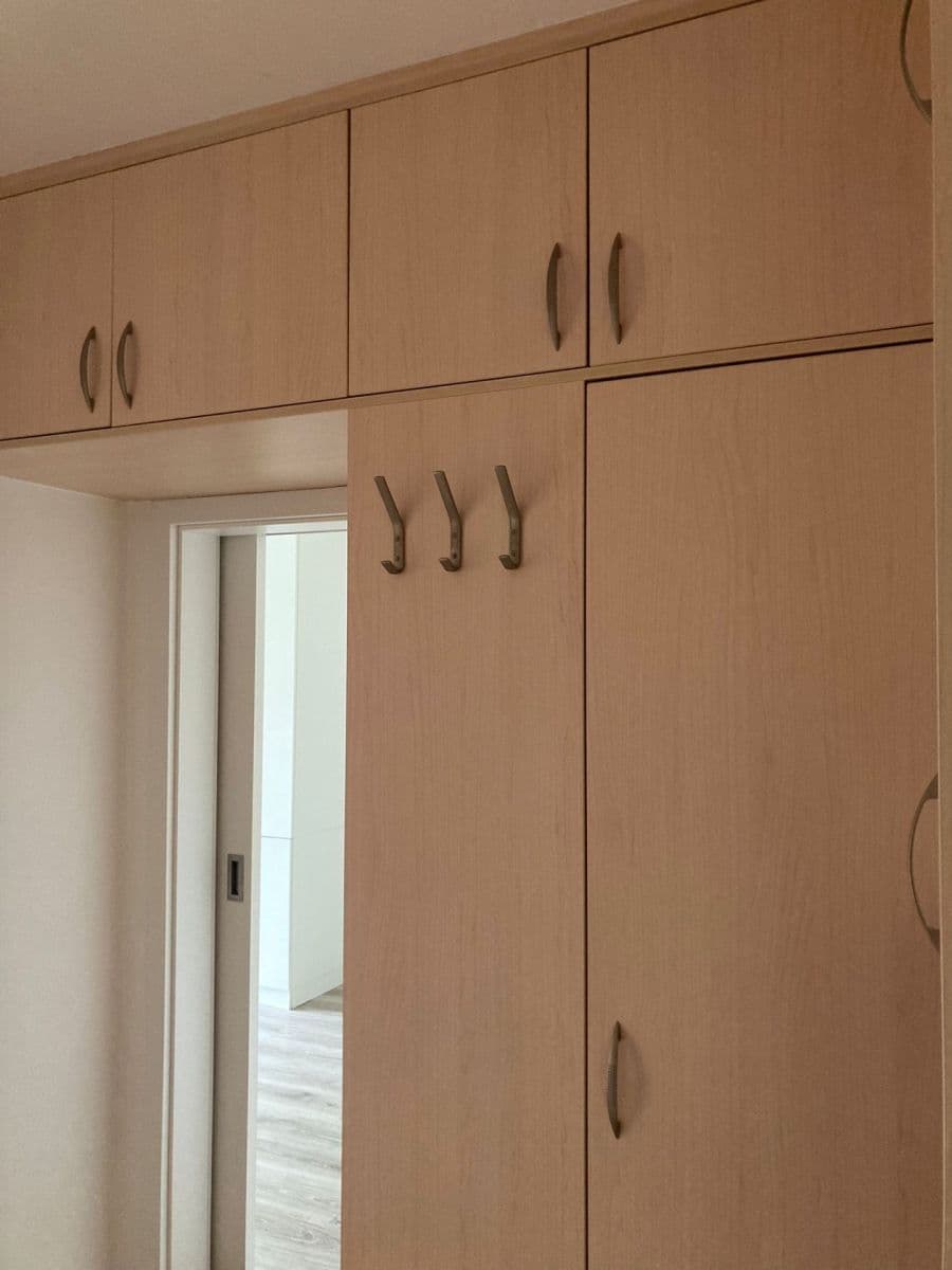 1 bedroom with open-plan kitchen flat to rent, 45 m², Urbánkova, Prague, Prague 1 bedroom with open-plan kitchen flat to rent, 45 m², Urbánkova, Prague, Prague