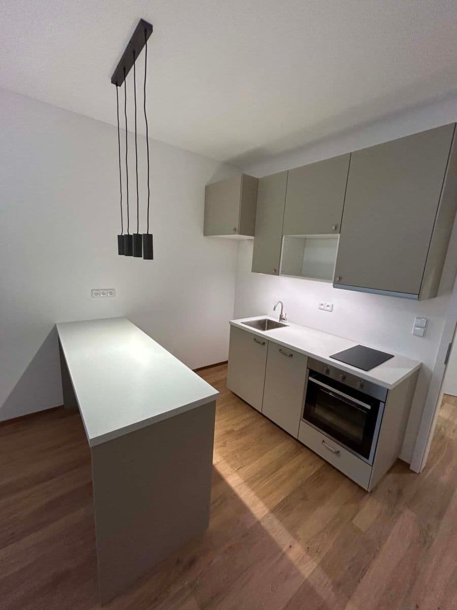 1 bedroom with open-plan kitchen flat to rent, 43 m², Žerotínova, Prague, Prague 1 bedroom with open-plan kitchen flat to rent, 43 m², Žerotínova, Prague, Prague