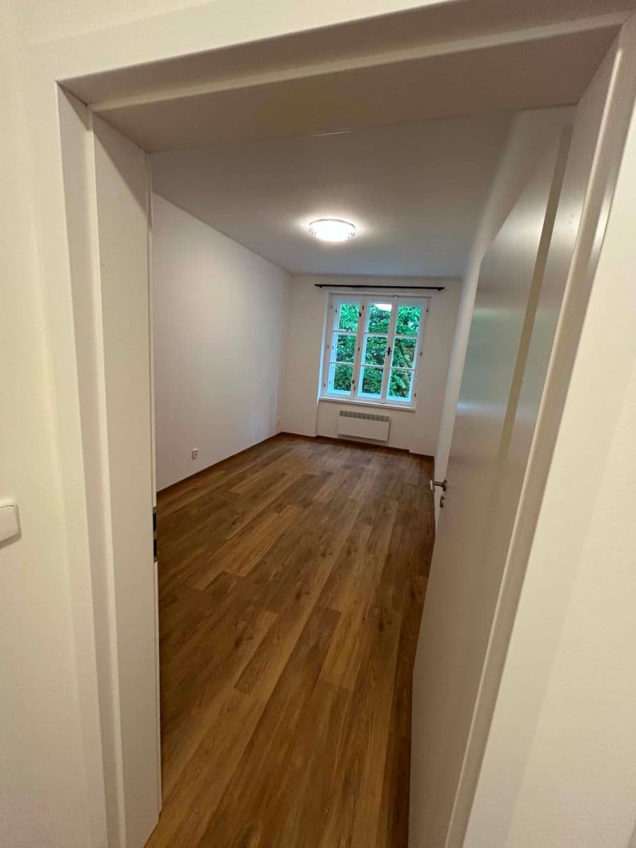 1 bedroom with open-plan kitchen flat to rent, 43 m², Žerotínova, Prague, Prague 1 bedroom with open-plan kitchen flat to rent, 43 m², Žerotínova, Prague, Prague