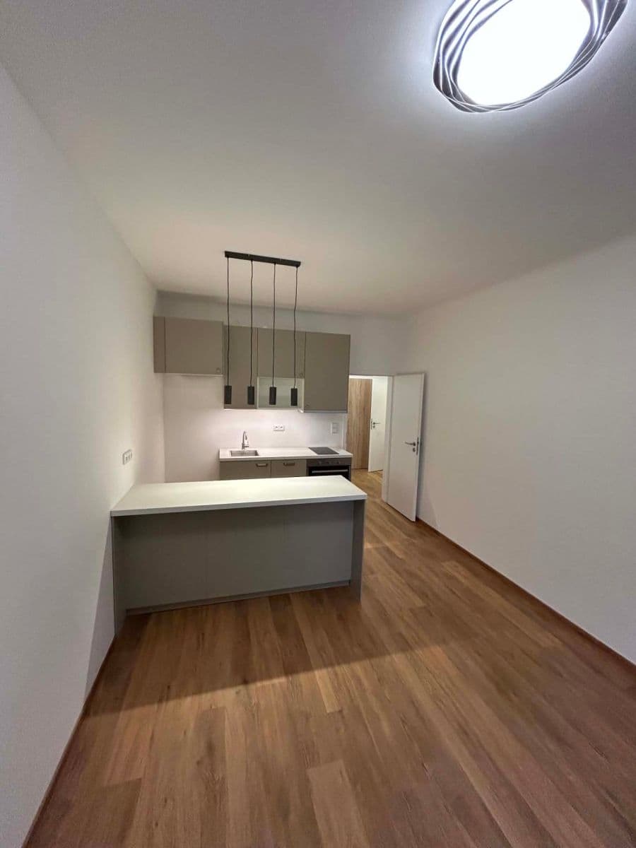 1 bedroom with open-plan kitchen flat to rent, 43 m², Žerotínova, Prague, Prague 1 bedroom with open-plan kitchen flat to rent, 43 m², Žerotínova, Prague, Prague