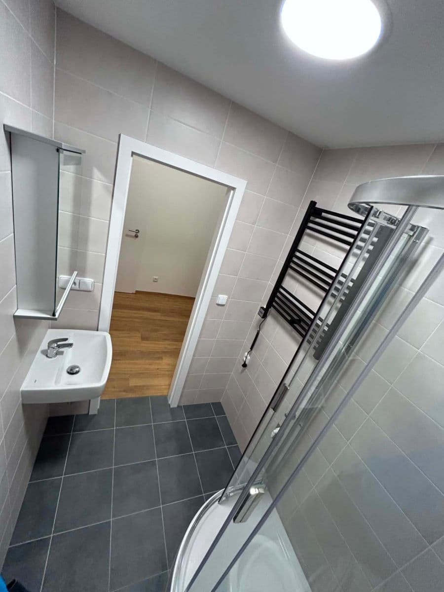 1 bedroom with open-plan kitchen flat to rent, 43 m², Žerotínova, Prague, Prague 1 bedroom with open-plan kitchen flat to rent, 43 m², Žerotínova, Prague, Prague