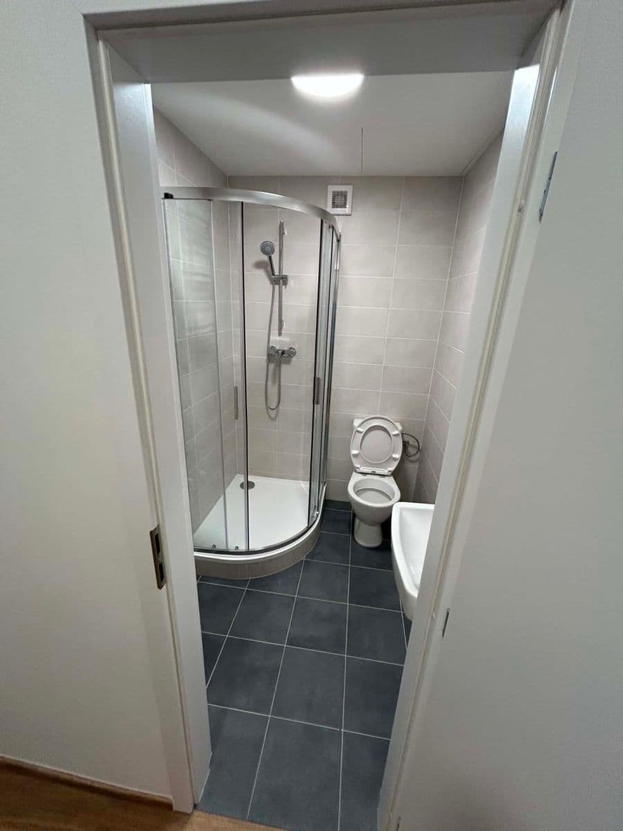 1 bedroom with open-plan kitchen flat to rent, 43 m², Žerotínova, Prague, Prague 1 bedroom with open-plan kitchen flat to rent, 43 m², Žerotínova, Prague, Prague