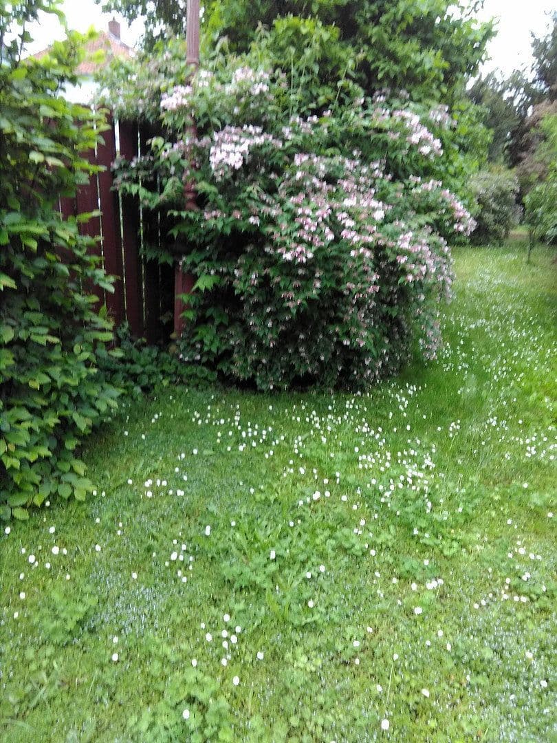 house for sale, 150 m², Worms, Rhineland-Palatinate house for sale, 150 m², Worms, Rhineland-Palatinate