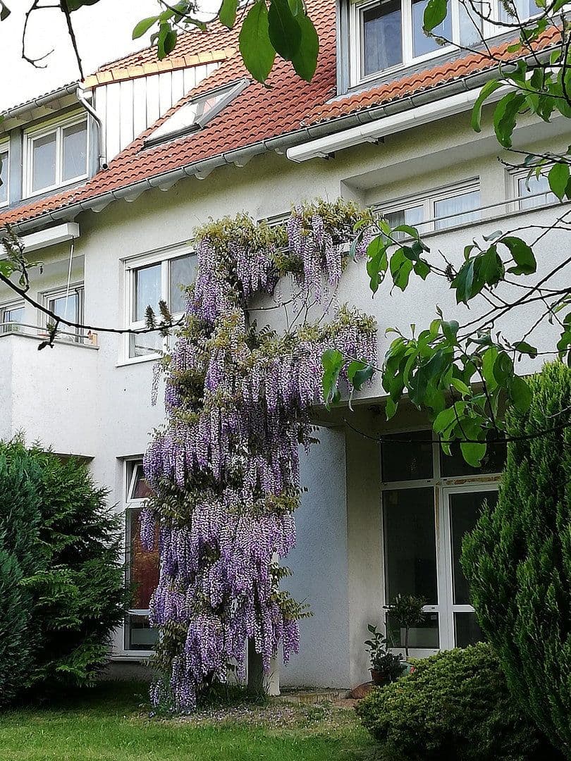 6 bedroom flat for sale, 130 m², Zittau, Saxony 6 bedroom flat for sale, 130 m², Zittau, Saxony