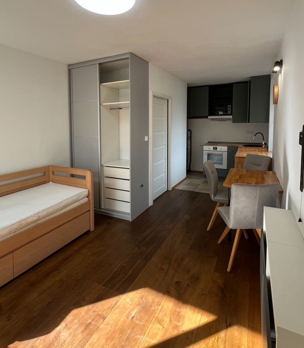 1 bedroom with open-plan kitchen flat to rent, 40 m², Štorkánova, Prague, Prague 1 bedroom with open-plan kitchen flat to rent, 40 m², Štorkánova, Prague, Prague
