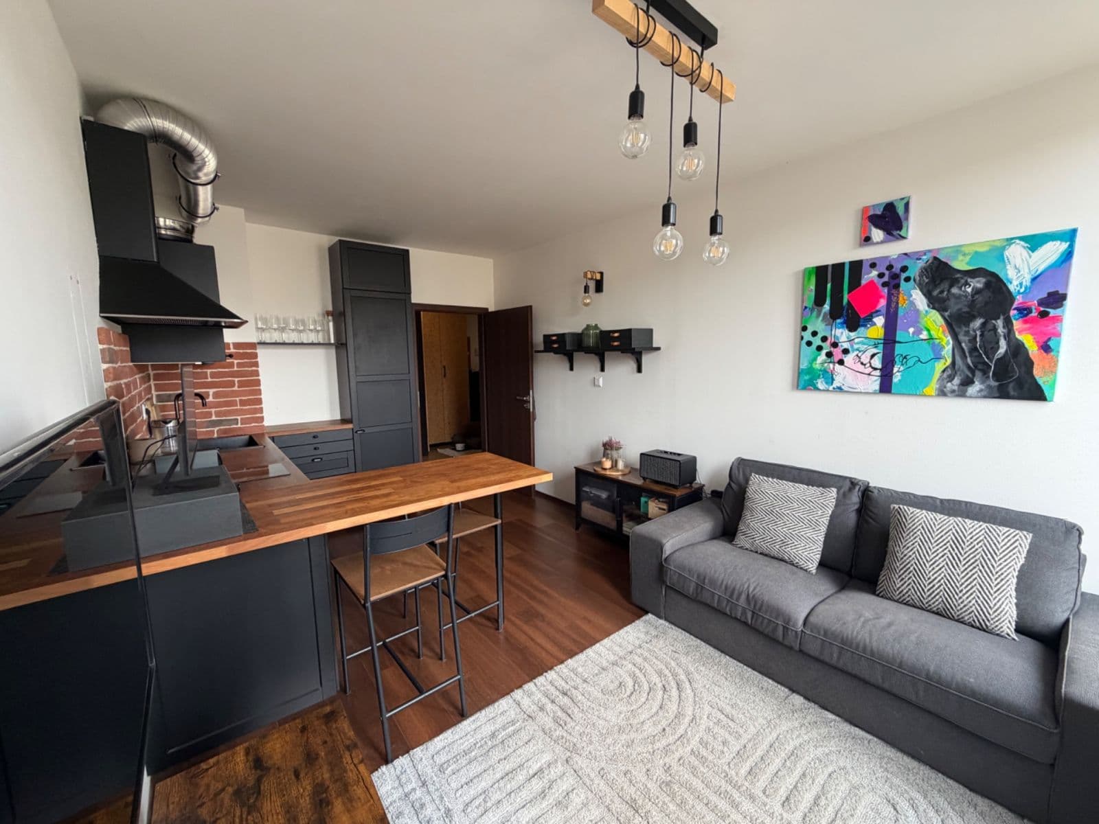 1 bedroom with open-plan kitchen flat to rent, 50 m², Jankovcova, Prague, Prague 1 bedroom with open-plan kitchen flat to rent, 50 m², Jankovcova, Prague, Prague