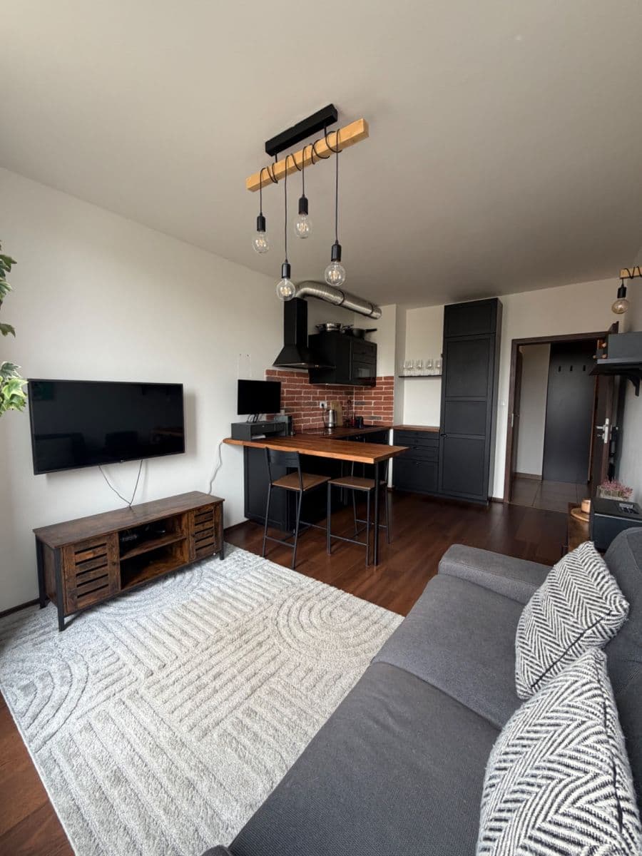 1 bedroom with open-plan kitchen flat to rent, 50 m², Jankovcova, Prague, Prague 1 bedroom with open-plan kitchen flat to rent, 50 m², Jankovcova, Prague, Prague