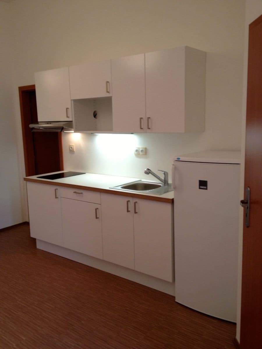 1 bedroom with open-plan kitchen flat to rent, 36 m², Štítného, Prague, Prague 1 bedroom with open-plan kitchen flat to rent, 36 m², Štítného, Prague, Prague