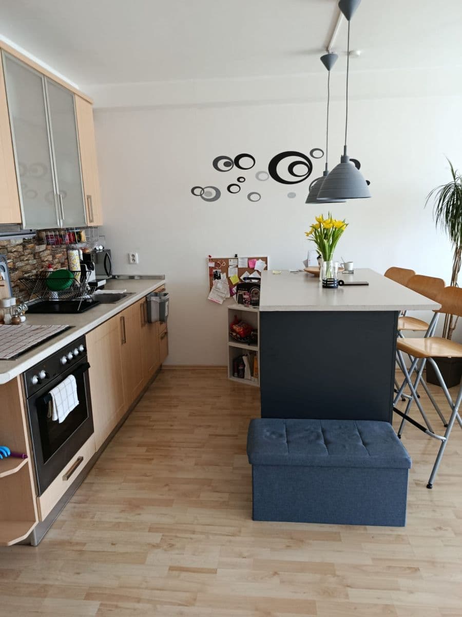 1 bedroom with open-plan kitchen flat to rent, 63 m², Skloněná, Prague, Prague 1 bedroom with open-plan kitchen flat to rent, 63 m², Skloněná, Prague, Prague