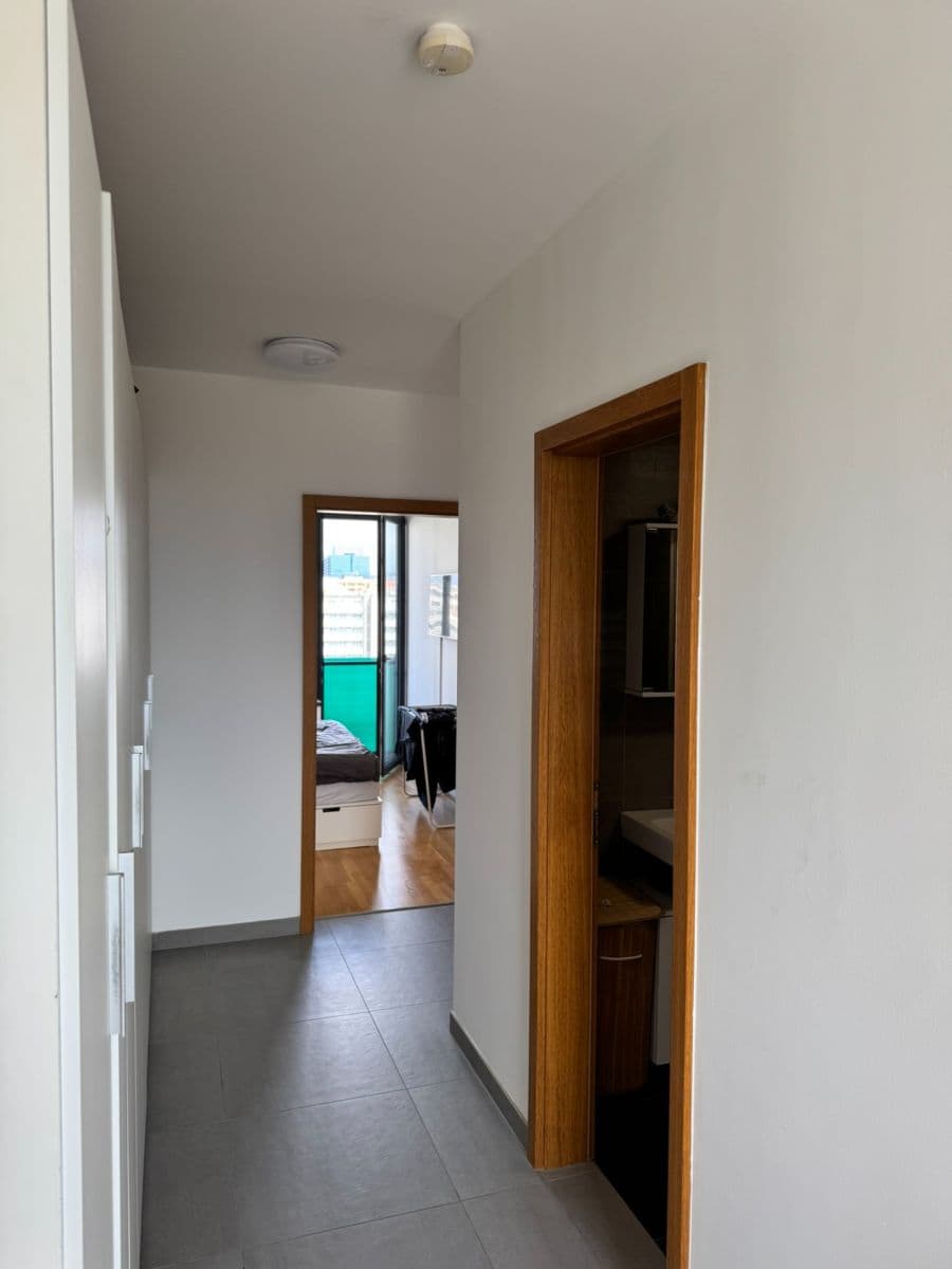 2 bedroom with open-plan kitchen flat to rent, 85 m², Argentinská, Prague, Prague 2 bedroom with open-plan kitchen flat to rent, 85 m², Argentinská, Prague, Prague