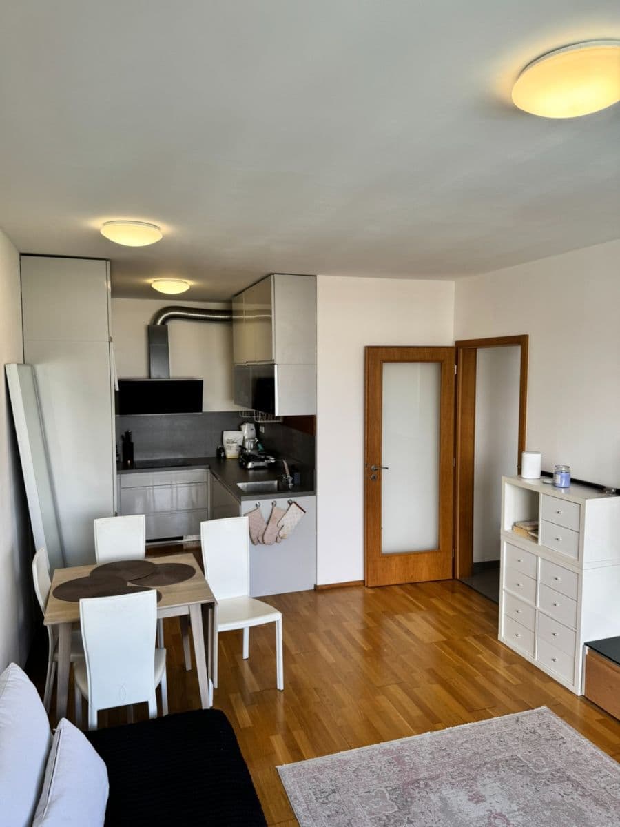 2 bedroom with open-plan kitchen flat to rent, 85 m², Argentinská, Prague, Prague 2 bedroom with open-plan kitchen flat to rent, 85 m², Argentinská, Prague, Prague