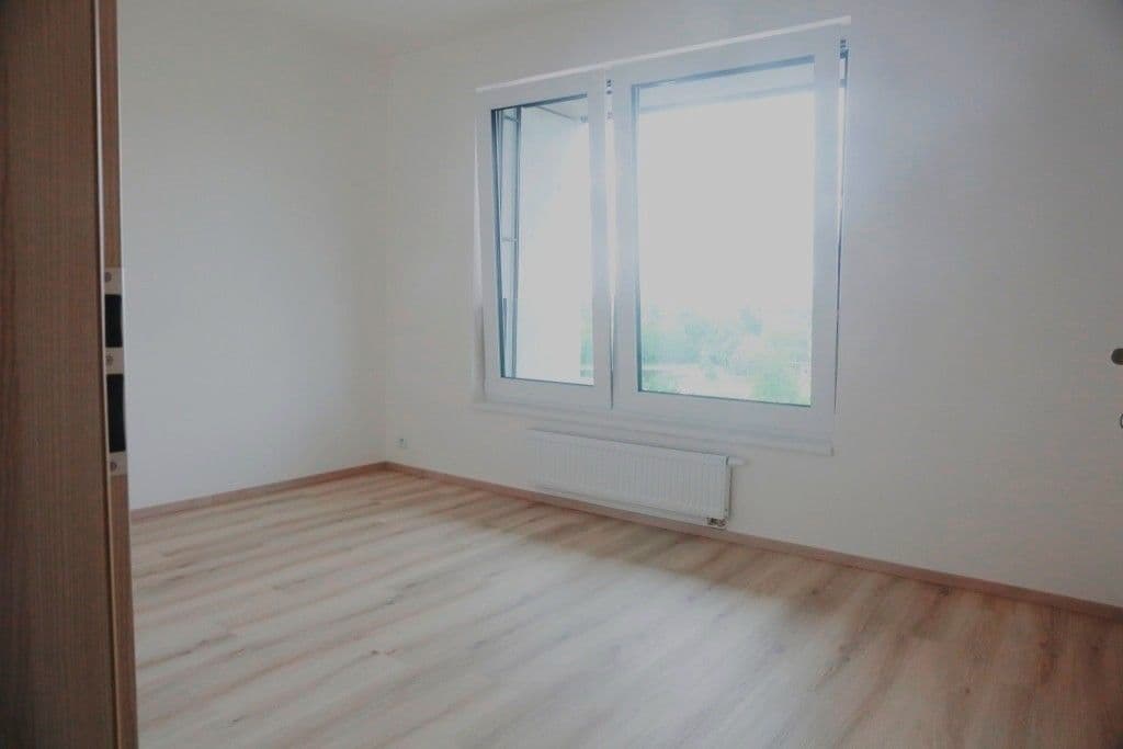 1 bedroom with open-plan kitchen flat to rent, 45 m², Hodkovická, Prague, Prague 1 bedroom with open-plan kitchen flat to rent, 45 m², Hodkovická, Prague, Prague