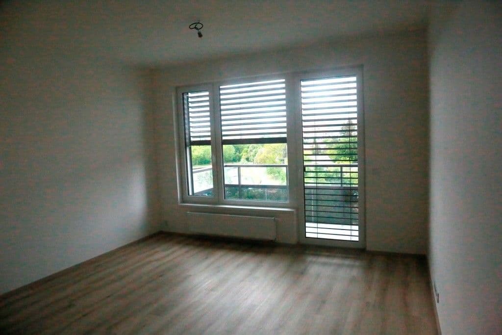 1 bedroom with open-plan kitchen flat to rent, 45 m², Hodkovická, Prague, Prague 1 bedroom with open-plan kitchen flat to rent, 45 m², Hodkovická, Prague, Prague