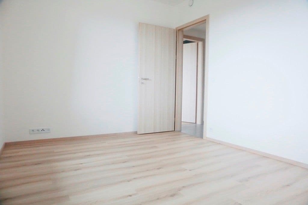1 bedroom with open-plan kitchen flat to rent, 45 m², Hodkovická, Prague, Prague 1 bedroom with open-plan kitchen flat to rent, 45 m², Hodkovická, Prague, Prague