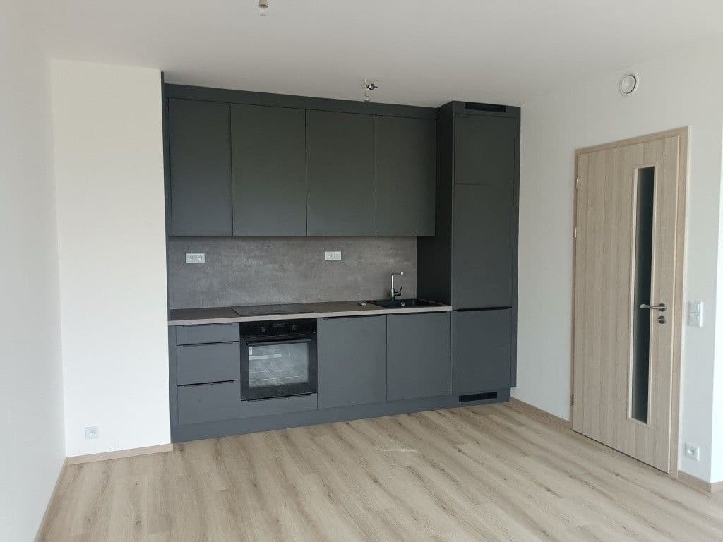 1 bedroom with open-plan kitchen flat to rent, 45 m², Hodkovická, Prague, Prague 1 bedroom with open-plan kitchen flat to rent, 45 m², Hodkovická, Prague, Prague