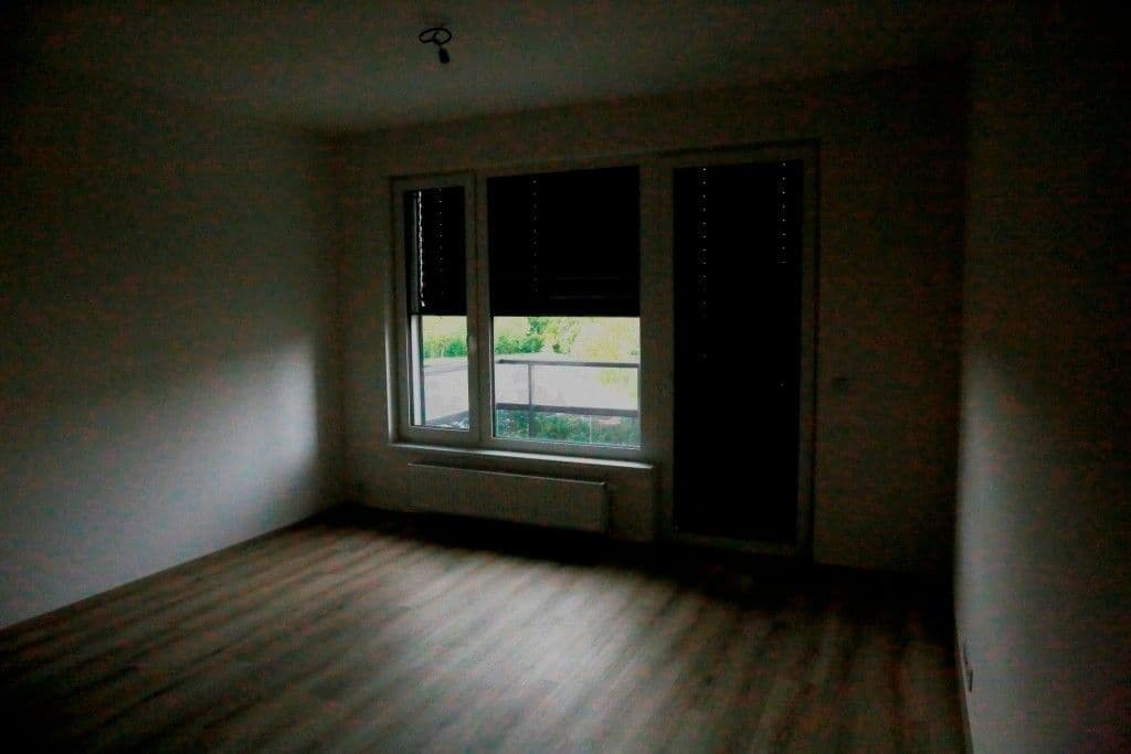 1 bedroom with open-plan kitchen flat to rent, 45 m², Hodkovická, Prague, Prague 1 bedroom with open-plan kitchen flat to rent, 45 m², Hodkovická, Prague, Prague