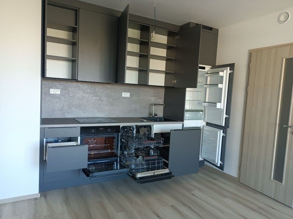 1 bedroom with open-plan kitchen flat to rent, 45 m², Hodkovická, Prague, Prague 1 bedroom with open-plan kitchen flat to rent, 45 m², Hodkovická, Prague, Prague