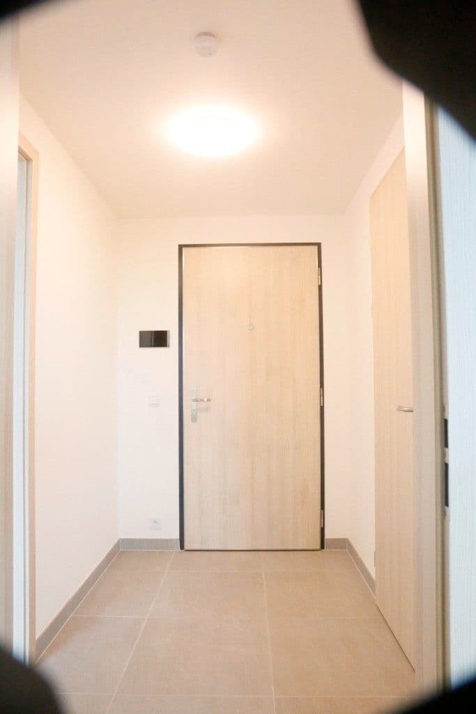 1 bedroom with open-plan kitchen flat to rent, 45 m², Hodkovická, Prague, Prague 1 bedroom with open-plan kitchen flat to rent, 45 m², Hodkovická, Prague, Prague