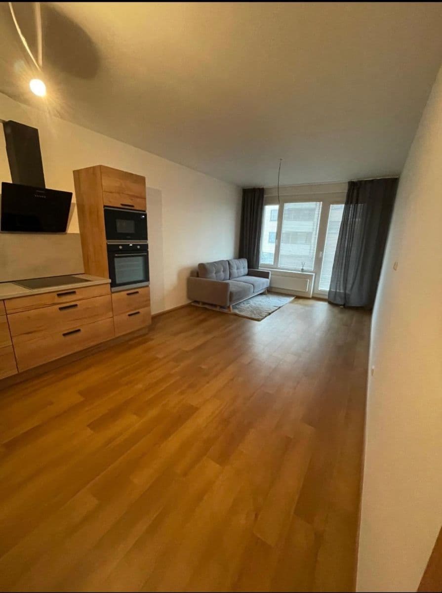 1 bedroom with open-plan kitchen flat to rent, 55 m², Honzíkova, Prague, Prague 1 bedroom with open-plan kitchen flat to rent, 55 m², Honzíkova, Prague, Prague
