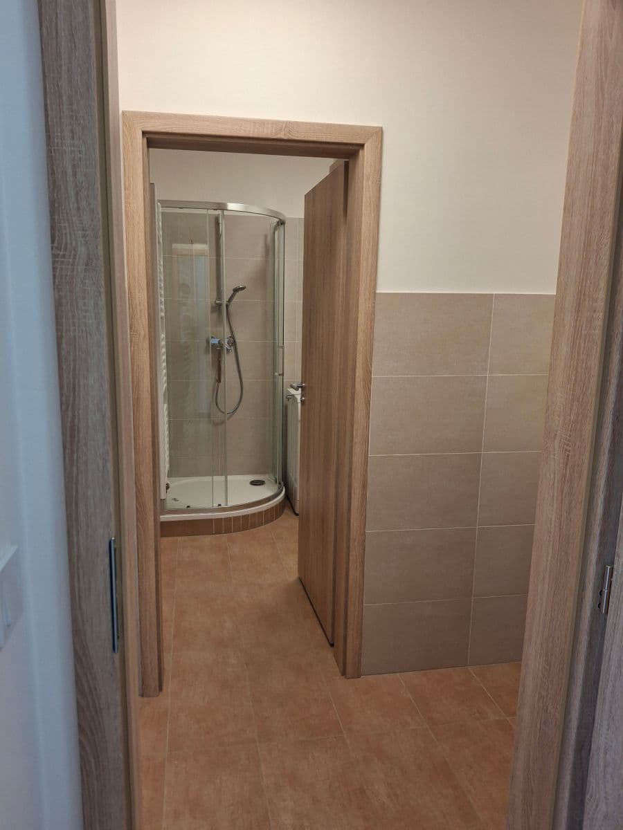 1 bedroom with open-plan kitchen flat to rent, 44 m², Arnošta Staňka, Prague, Prague 1 bedroom with open-plan kitchen flat to rent, 44 m², Arnošta Staňka, Prague, Prague